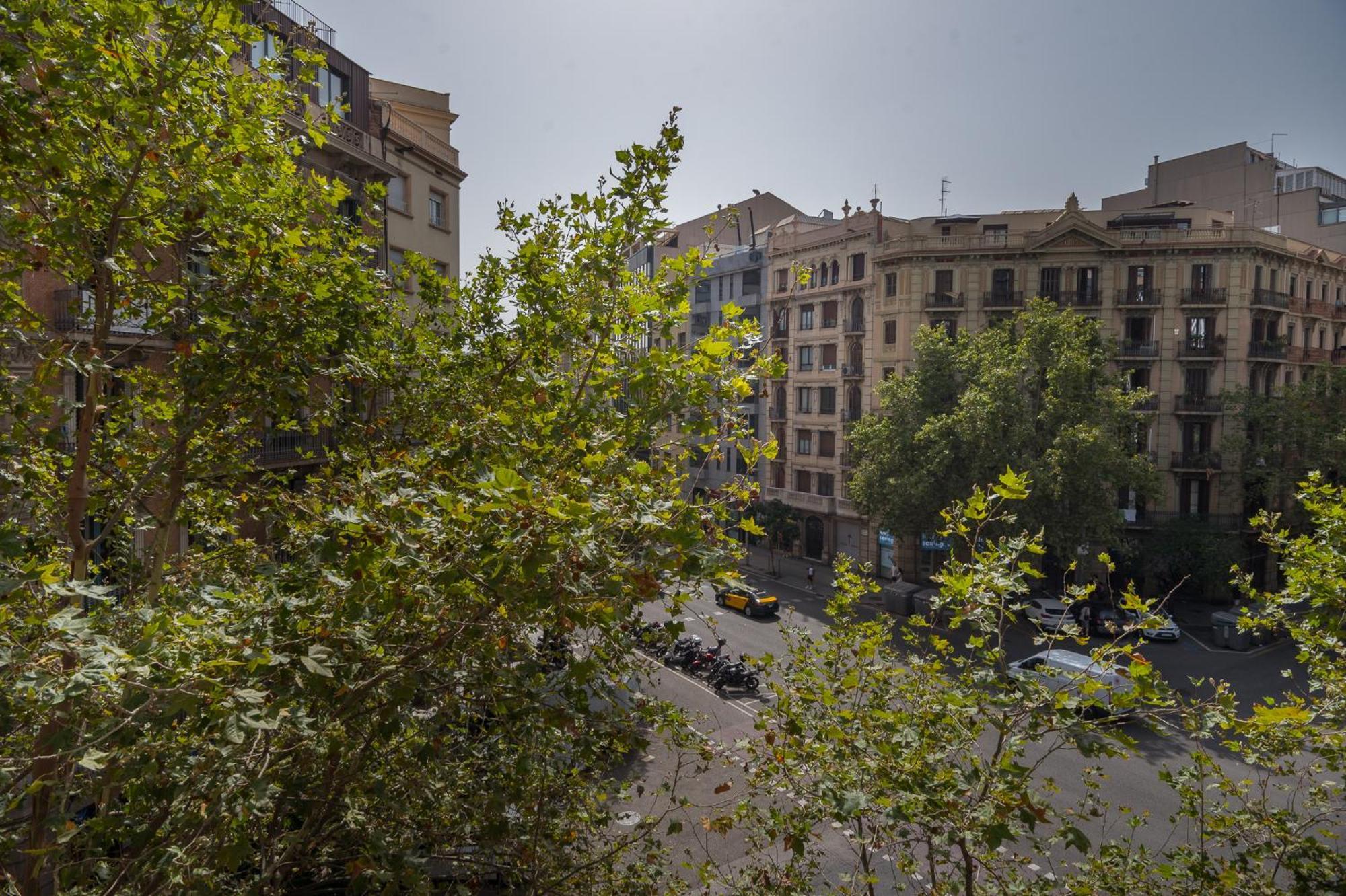 R&B Muntaner Apartment Barcelona Exterior photo
